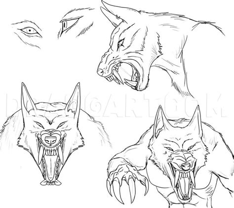 How To Draw A Werewolf Face Head Eyes Step By Step Drawing Guide
