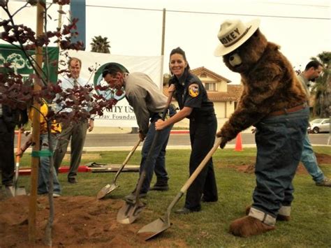 California Urban Forestry News And Updates
