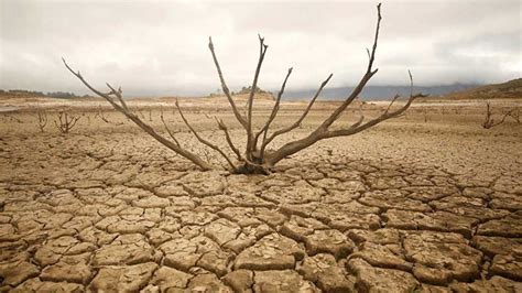 Türkiye İklim Değişikliği Nedeniyle Su Kıtlığı Yaşayacak Ada Gazetesi