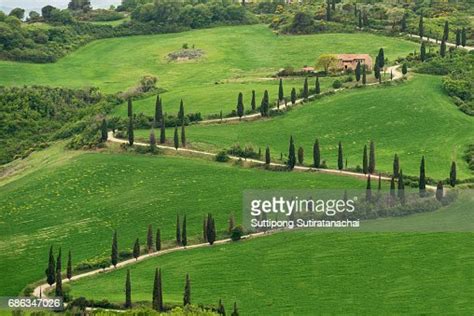 Tuscany Rural Road Landscape Countryside Farm Cypresses Trees Green