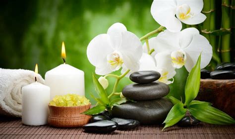 New Active Healing Massage And Wellness Relax Relieve Revive Beauty And Healthcare Services