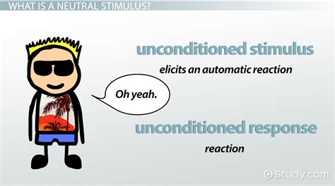 Neutral Stimulus Definition And Examples Video And Lesson Transcript