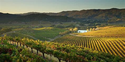 Top 30 Unbelievable Vineyards At Napa Valley