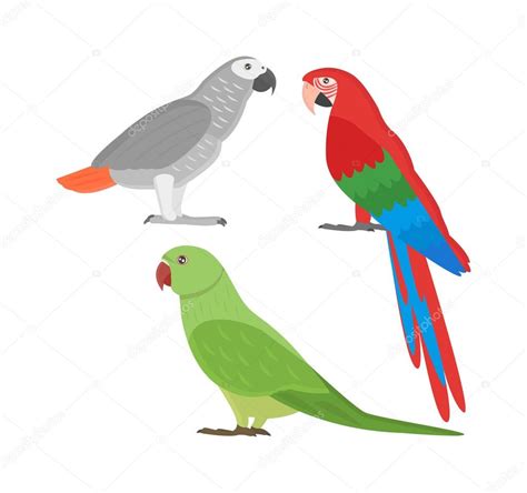 Cartoon Parrots Set Vector Stock Vector Image By ©