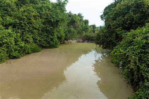Free Stock Photo Of A Small River Within Satpura Forest Download Free