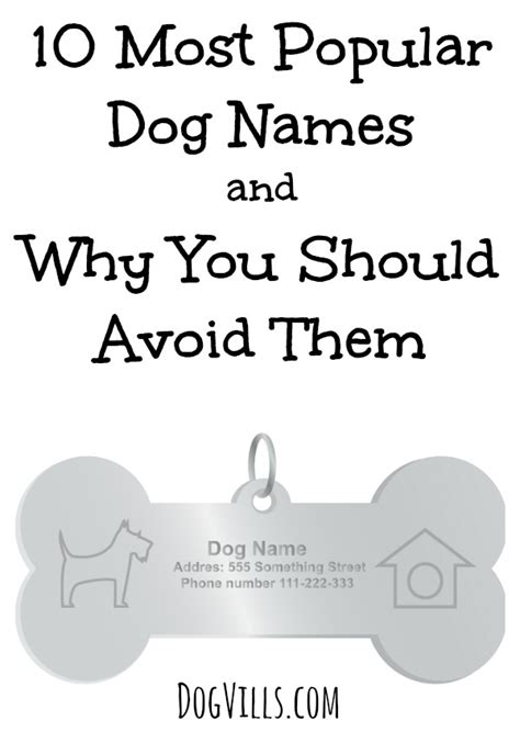 10 Most Popular Dog Names And Why You Should Avoid Them