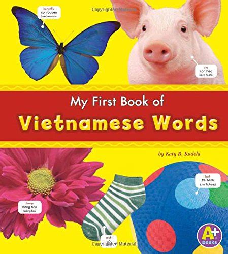 My First Book Of Vietnamese Words Bilingual Picture Dictionaries