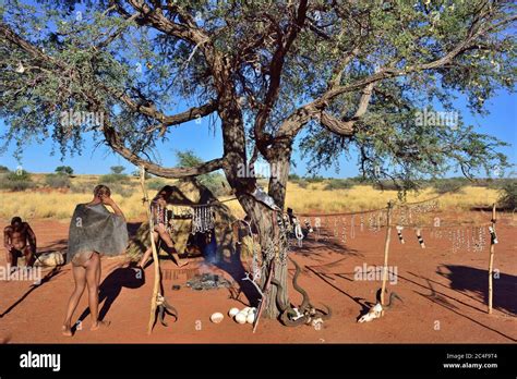 Kalahari Namibia Jan 24 2016 Bushmen Tribe Village The San People Also Known As Bushmen