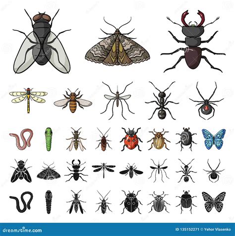 Different Kinds Of Insects Cartoon Black Icons In Set Collection For