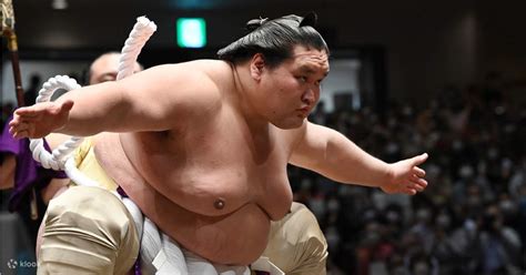 7 Hour Join In Sumo Tournament Viewing Tour With Chanko Nabe Meal In