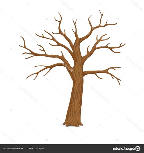 Leafless Tree Vector At Collection Of Leafless Tree