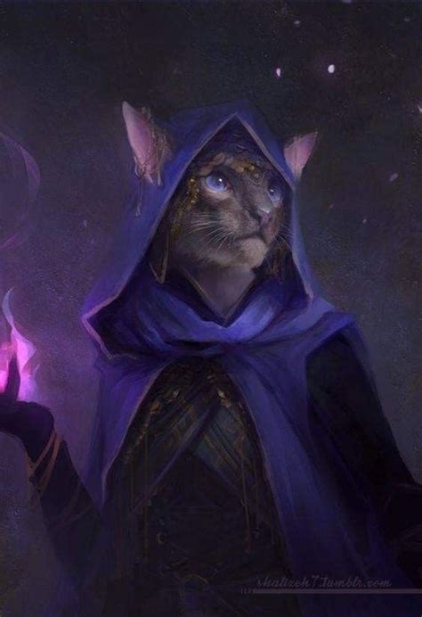 Dungeons And Dragons Characters By Jill Moran On Cats Character Art