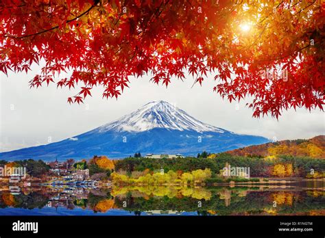 Autumn Season And Mountain Fuji At Kawaguchiko Lake Japan Stock Photo