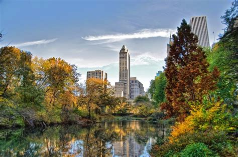 Central Park New York City Travel Activities