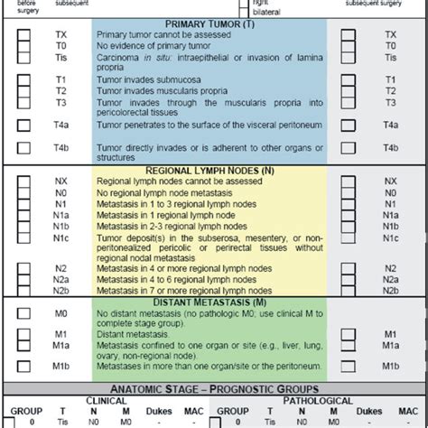 Protocol For Macroscopic Examination Colorectal Cancer Sample