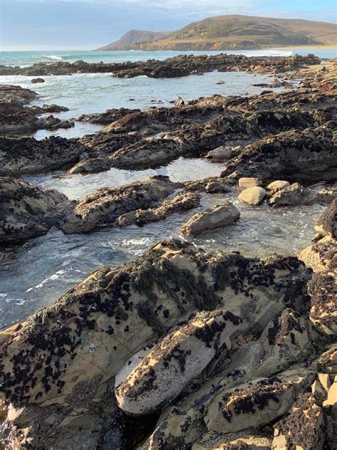 Best Tide Pools In Southern California To Explore 2023