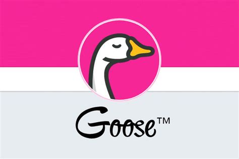 Goose Launches Mobile Travel Insurance App - TravelPress