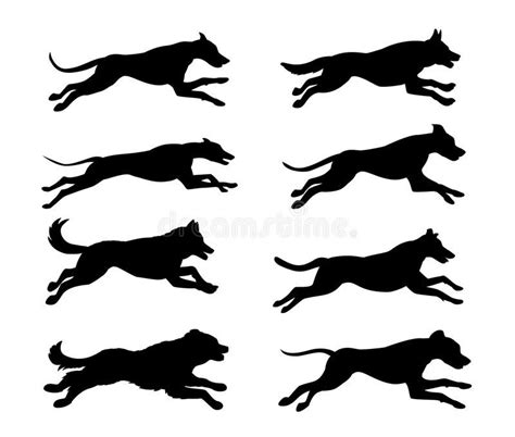 Running Dogs Silhouettes Stock Vector Illustration Of Info 78863751