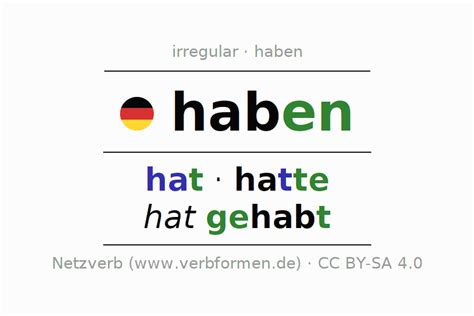 Conjugation Haben Have All Forms Examples Translation Rules