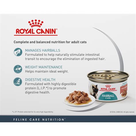 Read this 2021 iams cat food review to find the right food according to your cat's age and activity level. Hairball Thin Slices in Gravy Canned Cat Food - Royal Canin