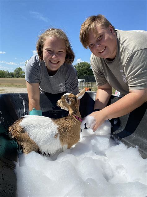 Safari Zoo Internships The Watering Hole