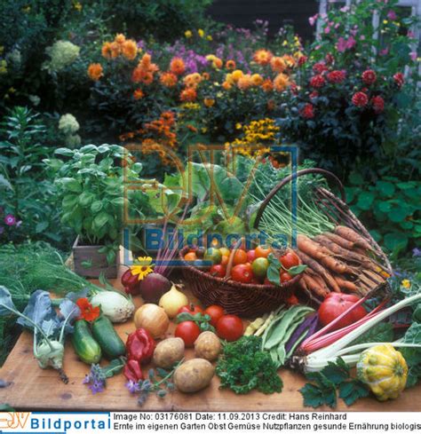 555 likes · 2 were here. Details zu #0003176081 - Ernte im eigenen Garten Obst ...