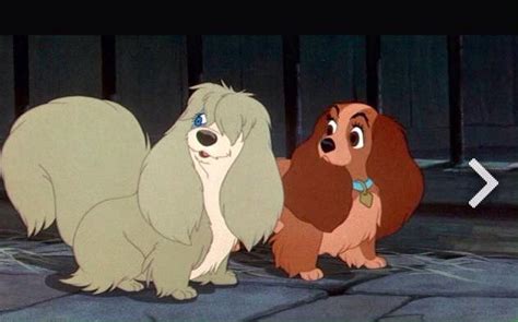 Ah The Lady And The Tramp Movie Love It Lady And The Tramp Tramps