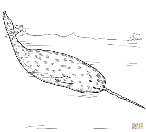 Color online with this game to color letters and numbers coloring pages and you will be able to share and to create your own gallery online. Narwhal coloring, Download Narwhal coloring for free 2019