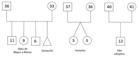 COMO ELABORAR UN FAMILIOGRAMA PDF