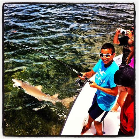 Shark Fishing In The Florida Keys Sightfishing In Marathon Fl