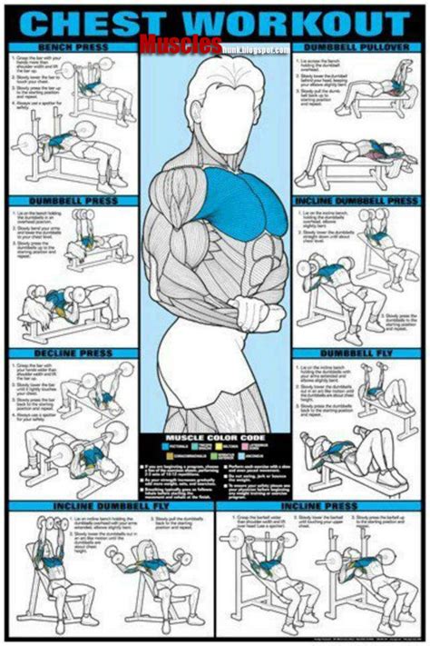 Best Exercise Chart Bodybuilding And Fitness Zone