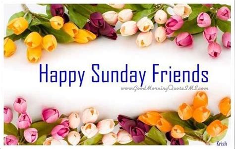 Free Download Related To Happy Sunday Quotes For Facebook Sunday Wishes