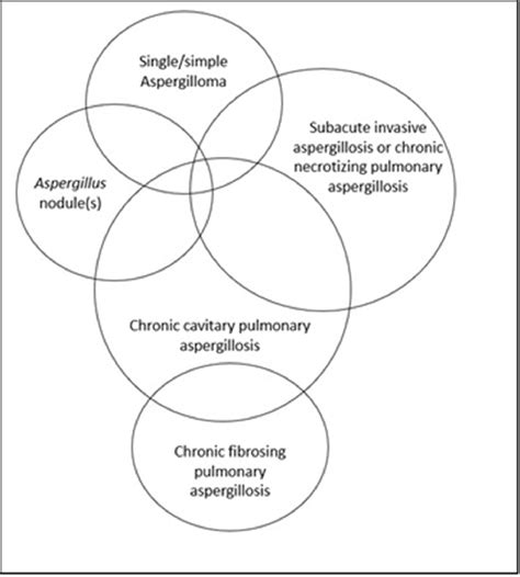 Pulmonary Aspergillosis Spectrum Of Disease The American Journal Of