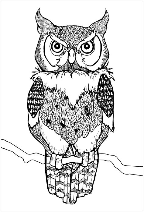 Owls To Print Owls Kids Coloring Pages