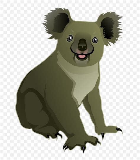 Koala Bear Cuteness Clip Art Png 778x939px Koala Animal Baby Koala