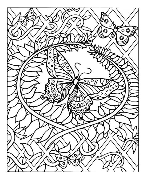 Butterfly Butterflies And Insects Adult Coloring Pages
