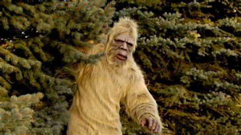 11 Crazy Bigfoot Conspiracy Theories Mental Floss