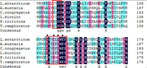 Multiple Sequence Alignment Of The Core Region Of The Catalytic Domains
