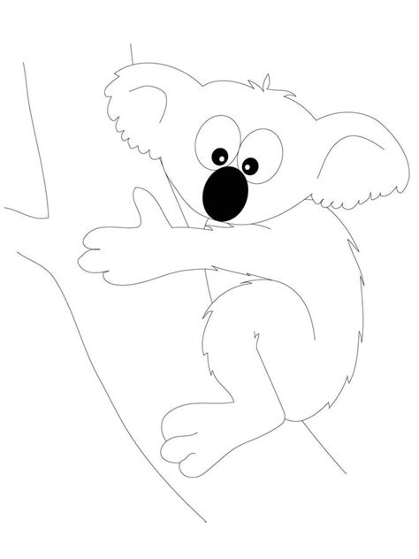 Kolorowanki Koala Do Druku Dla Dzieci I Dorosłych