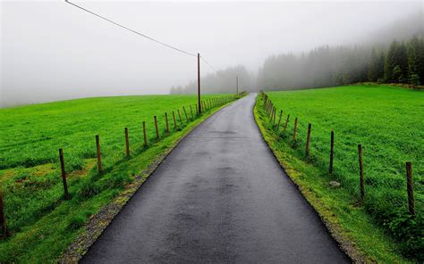 Dirt Road Between Green Grass Near Pine Trees With White Fogs Under