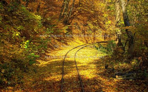 Autumn Train Track Wallpapers Wallpaper Cave