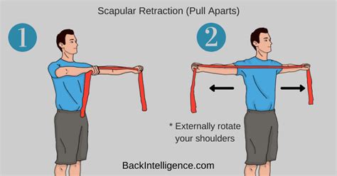 How To Fix Rounded Shoulders Posture 5 Exercises 2022
