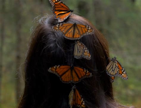 Butterflies On Head Green Energy Futures
