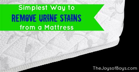 And in my experience, there're one of the toughest stains to get out. The Simplest Way to Remove Urine Stains from a Mattress