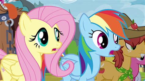 Image Fluttershy And Rainbow Dash Surprised S4e22png My Little