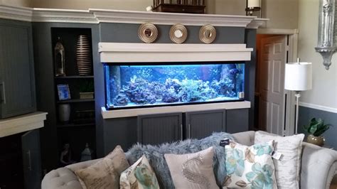 Aquarium Installationpalm Beach Blue Earth Aquariums