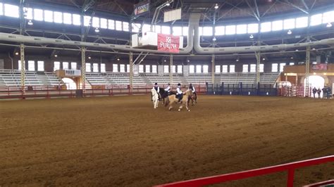 Hooves In Harmony Drill Team 2017 Youtube