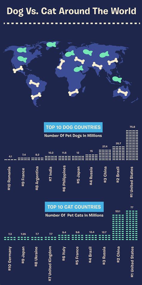 Fascinating Infographic Maps The World According To Cat