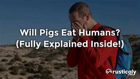 Will Pigs Eat Humans Everyone Should Know This