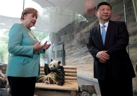 Chinas Panda Diplomacy All You Need To Know Times Of India